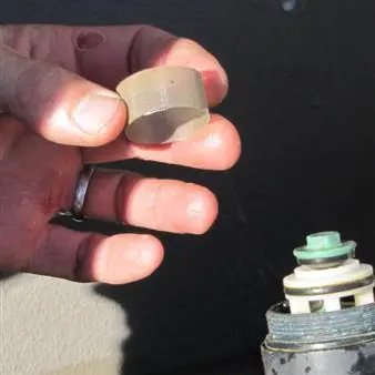 No cheap solution to algae problem