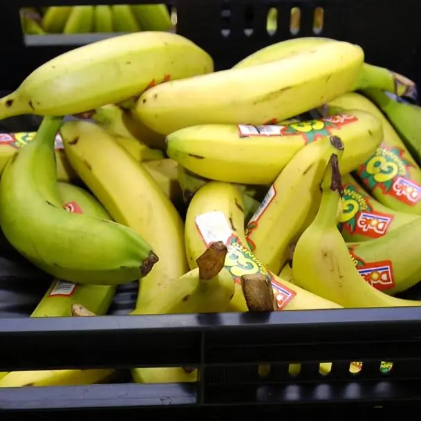 Fruit waste extracts metal contamination from water