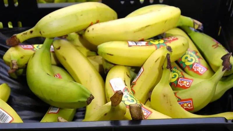 Fruit waste extracts metal contamination from water