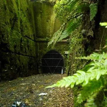 Blast prompts warning over Caversham tunnel