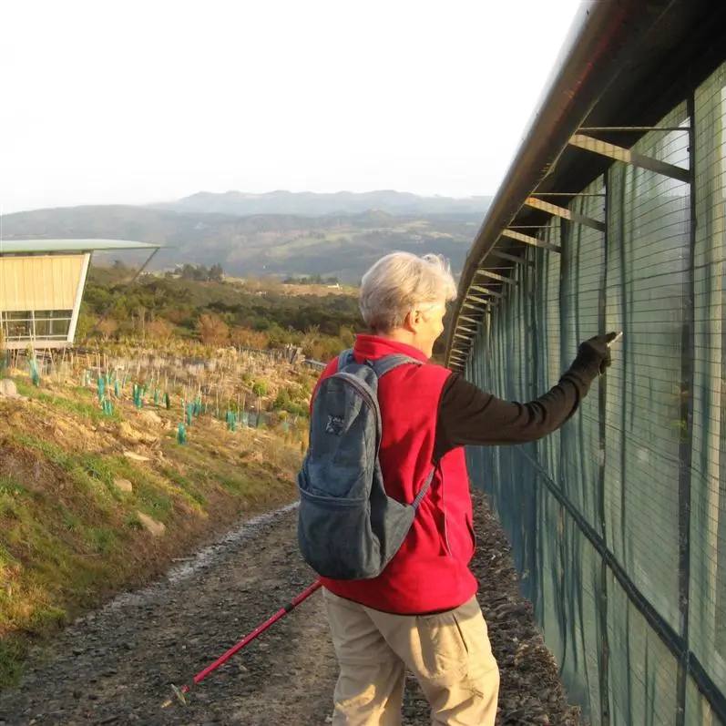 Vigilance keeps Orokonui wildlife fenced in, safe and secure