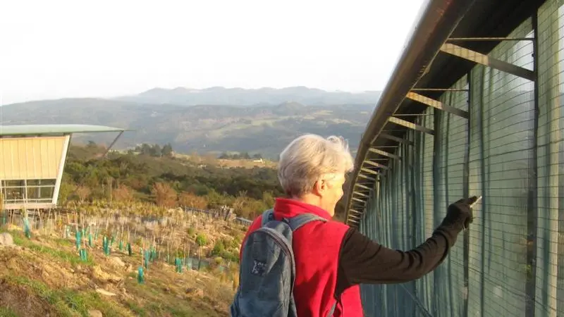 Vigilance keeps Orokonui wildlife fenced in, safe and secure