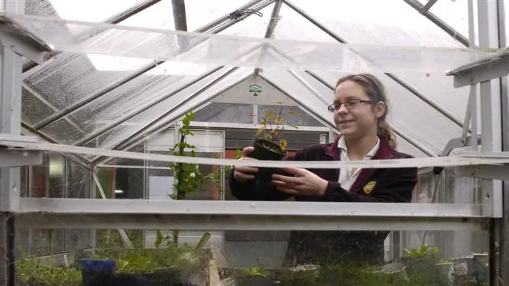 Environmental award for LPHS pupil