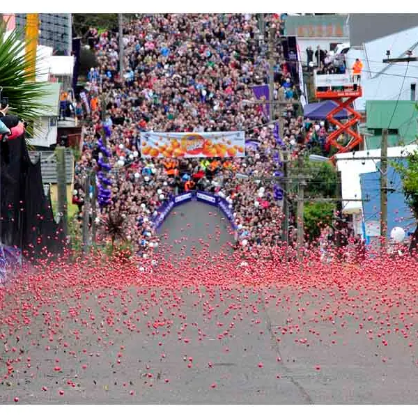 Annual jaffa race postponed