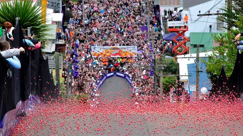 Annual jaffa race postponed