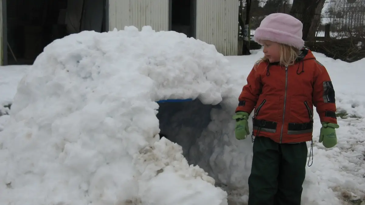 Country still shivers under polar blast