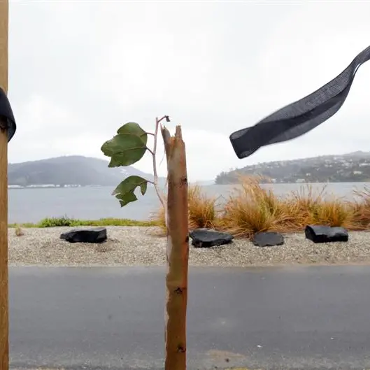 Our public spaces violated