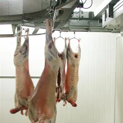 NZ meat on menu for cup