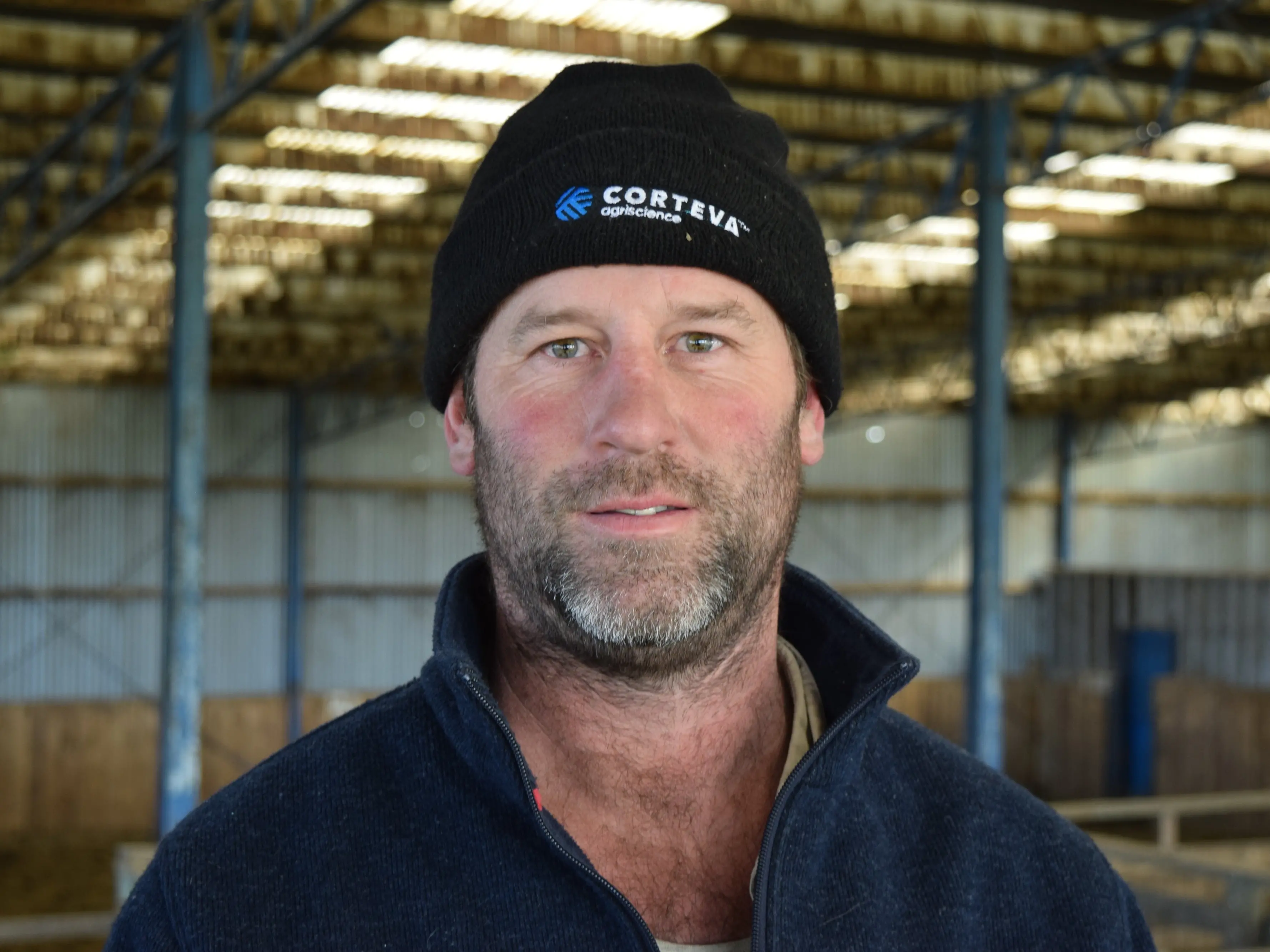Angus shine on hook and exotics excel on hoof at southern beef cattle competition