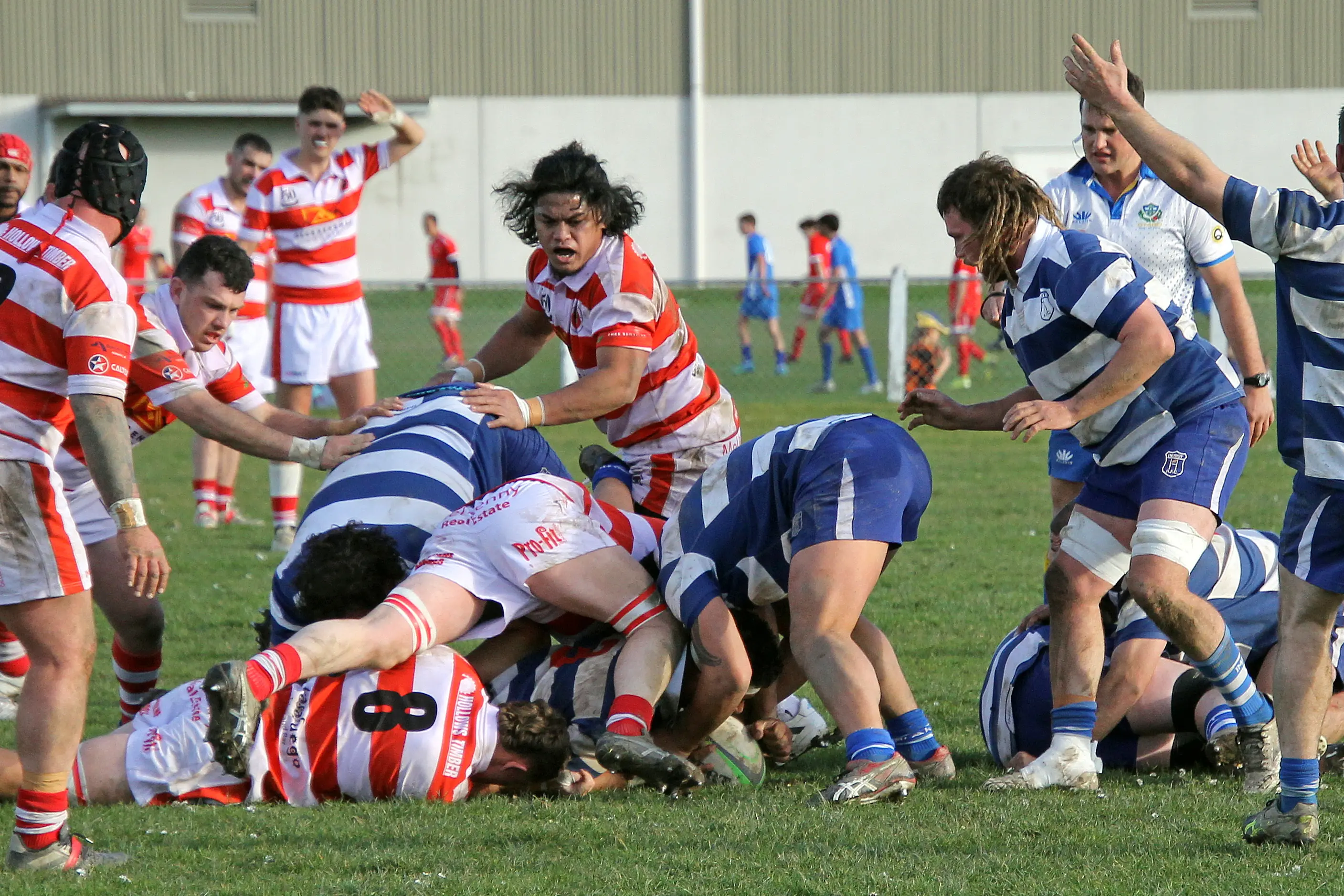 Clutha\\'s Panapa Antonio watches the ruck in Saturday\\'s close-run semifinal showdown with Heriot.