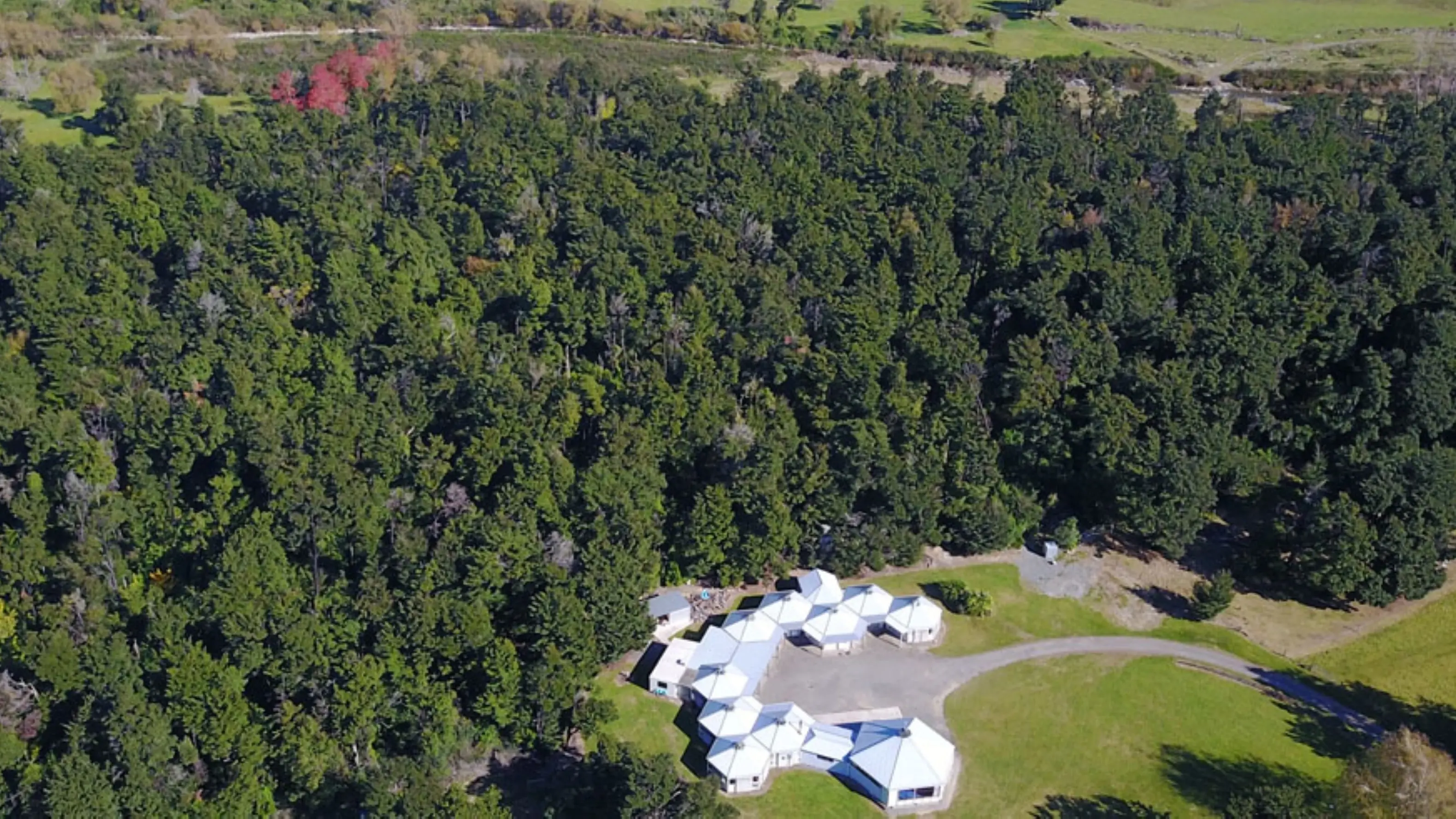 Staveley Camp native forest restoration boosts biodiversity