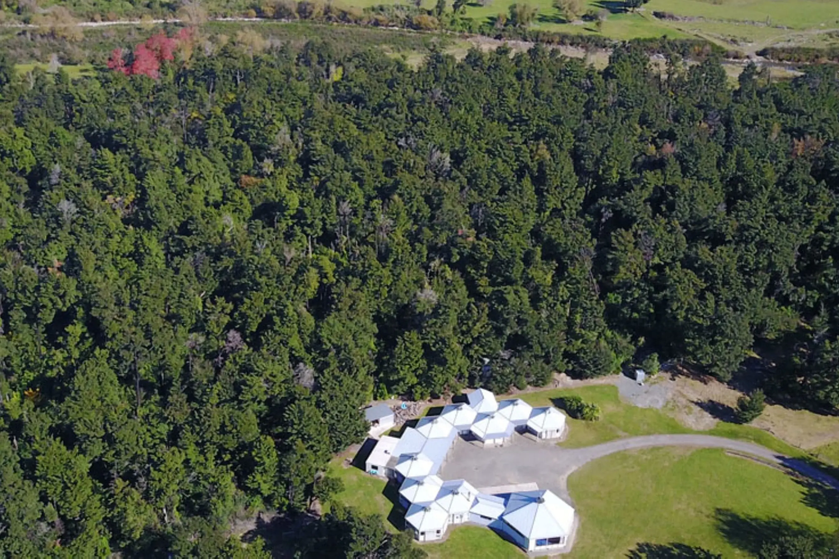 A five-year monitoring project at Staveley Camp\\u00A0has revealed remarkable native forest restoration results, with regenerating native bush, increasing birdlife and former weed-infested areas transforming into thriving native forest. Photo: Supplied