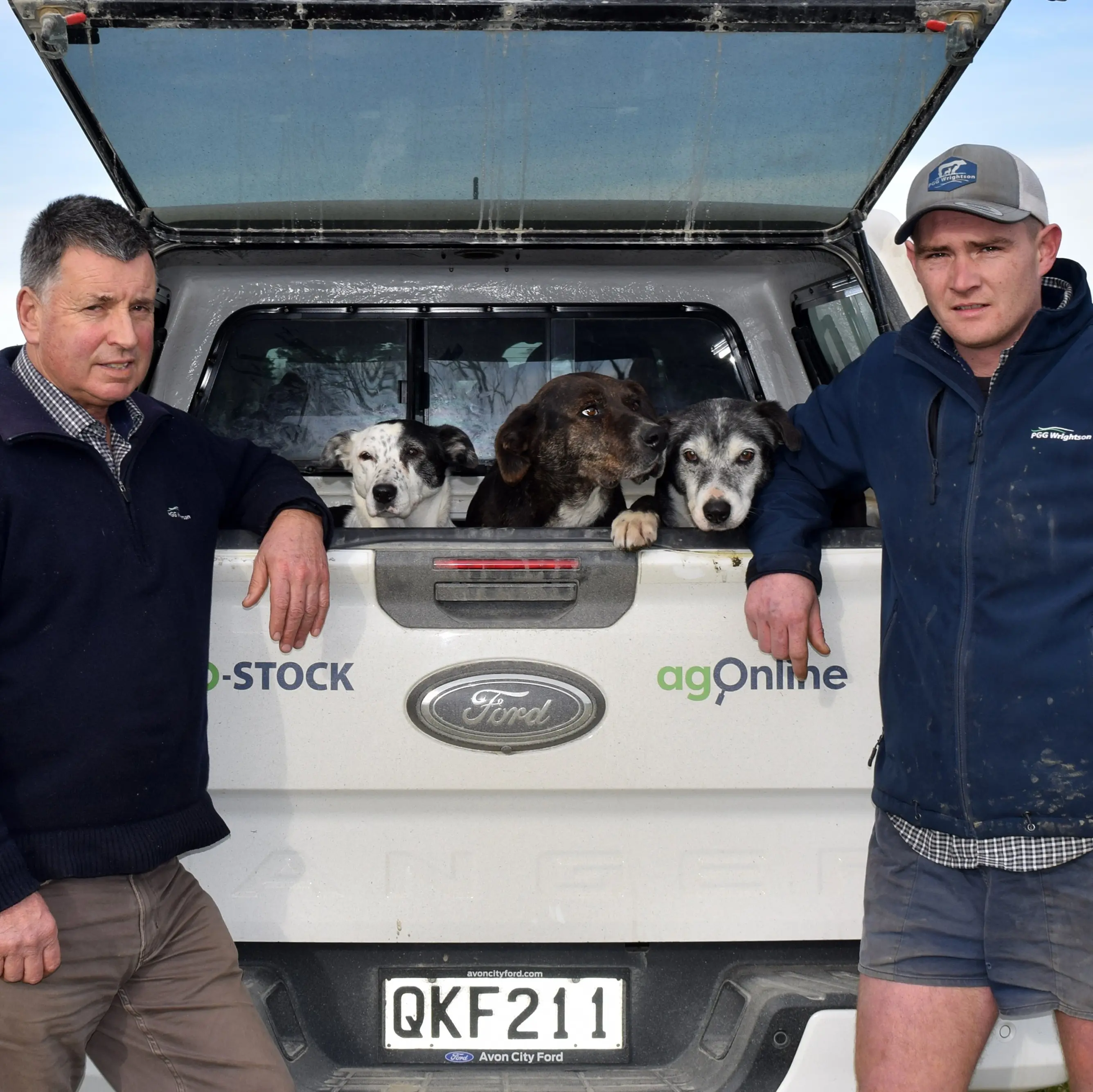 Wayleggo: Call made for working dogs at inaugural auction in South Otago