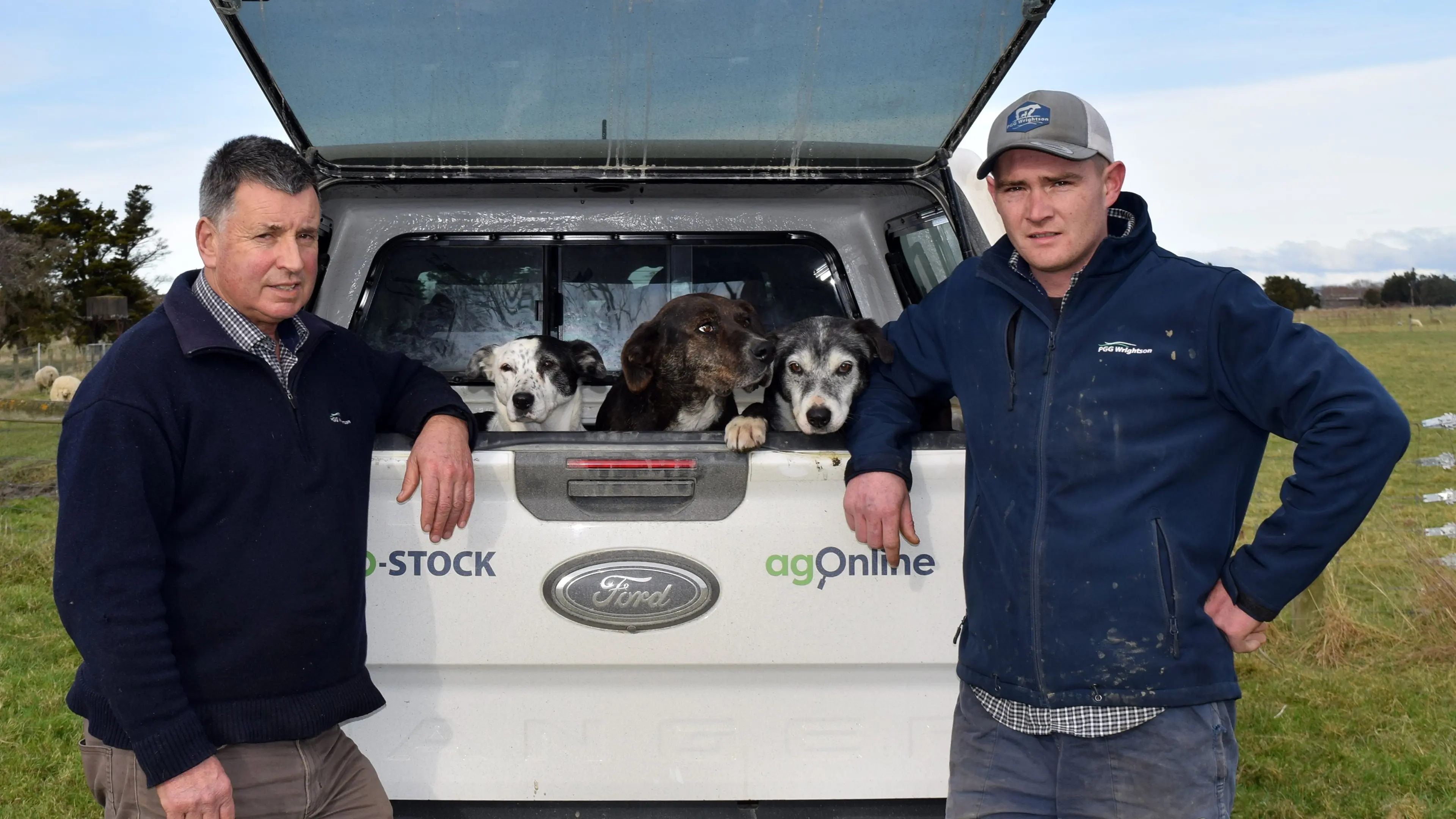 Wayleggo: Call made for working dogs at inaugural auction in South Otago