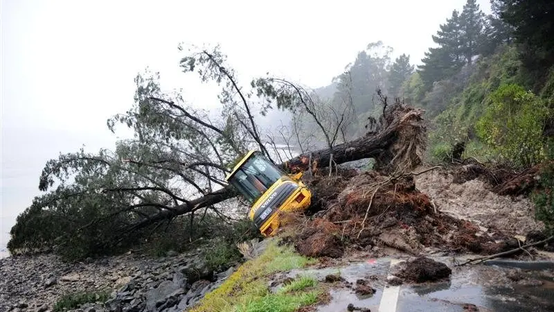Dunedin at higher risk from slips