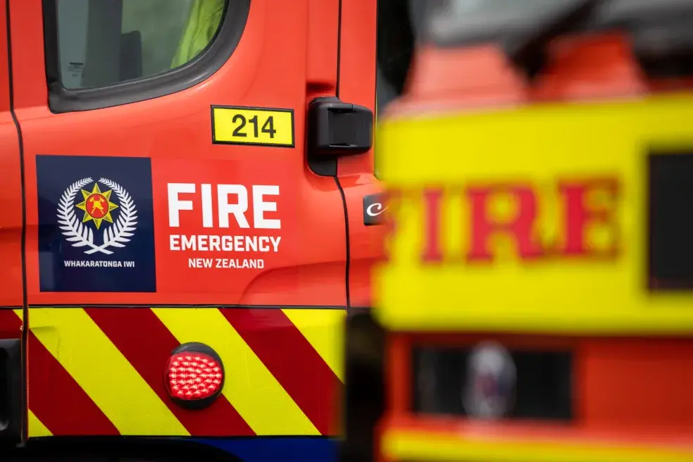 <p>Flie photo: RNZ</p>\\n