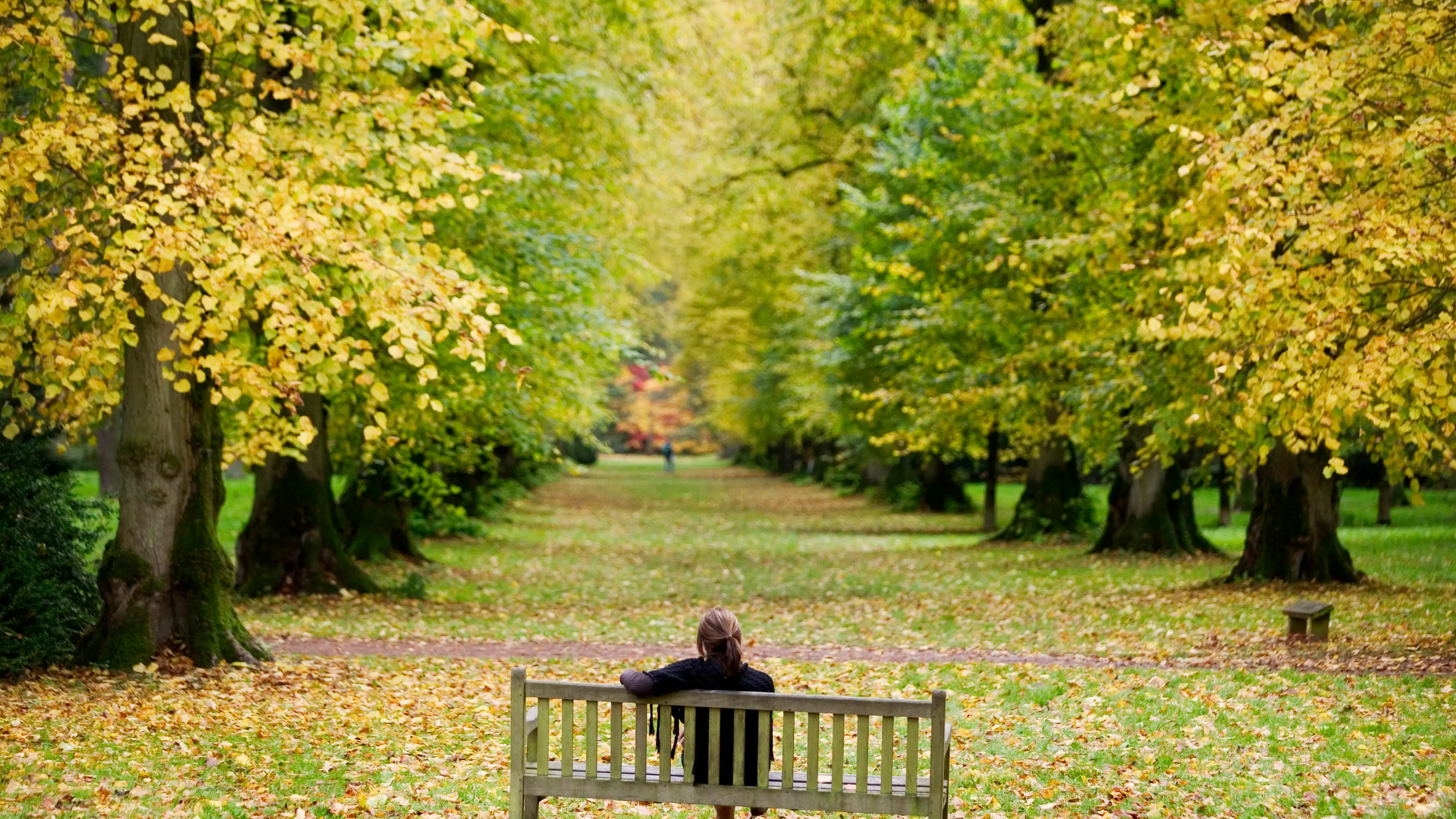 Is there really a global loneliness epidemic? Research reveals a more complex picture