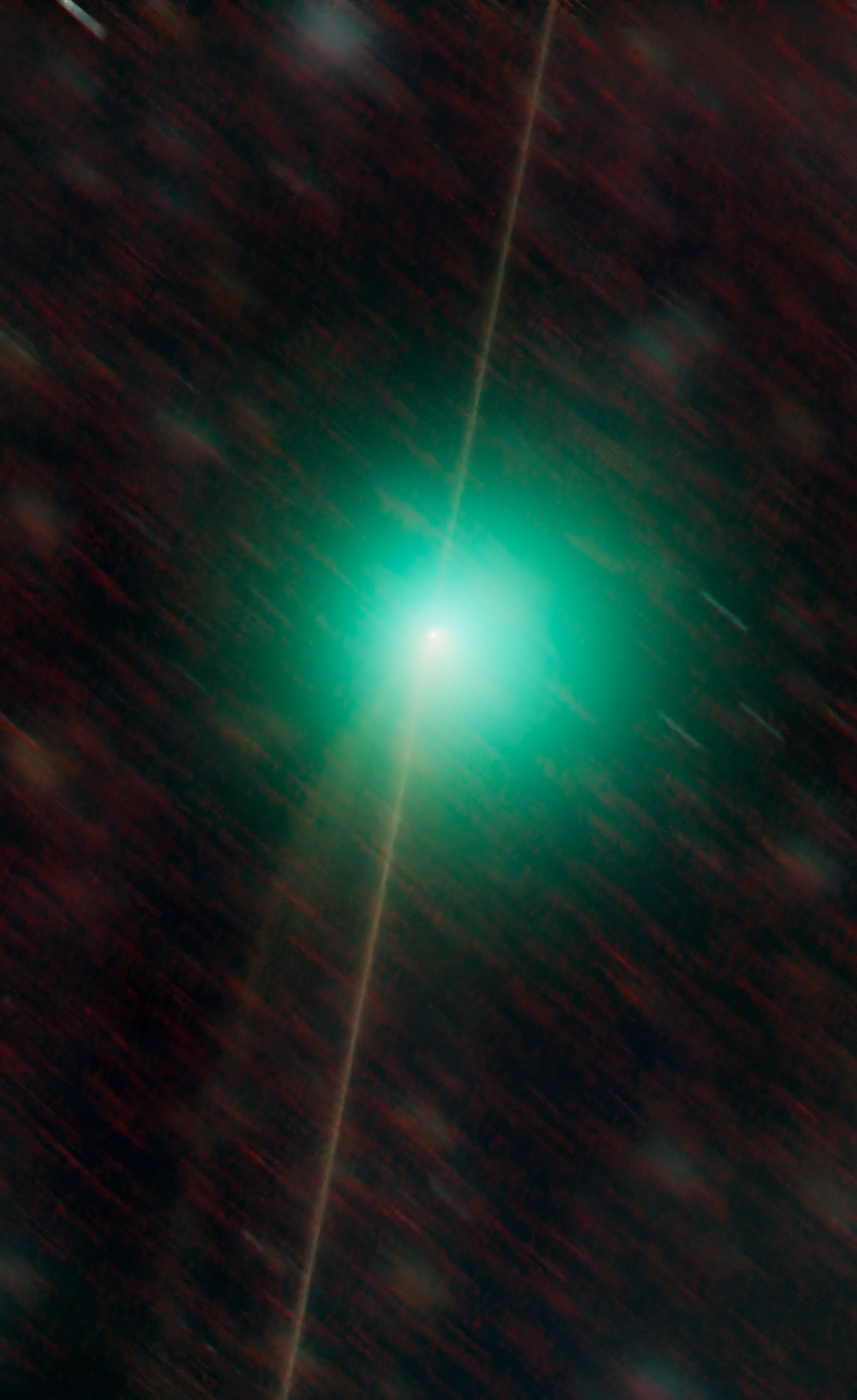 The comet 10P/Tempel 2\\'s rarely occurring \"spike\" captured from Middlemarch. Photo: Ian Griffin