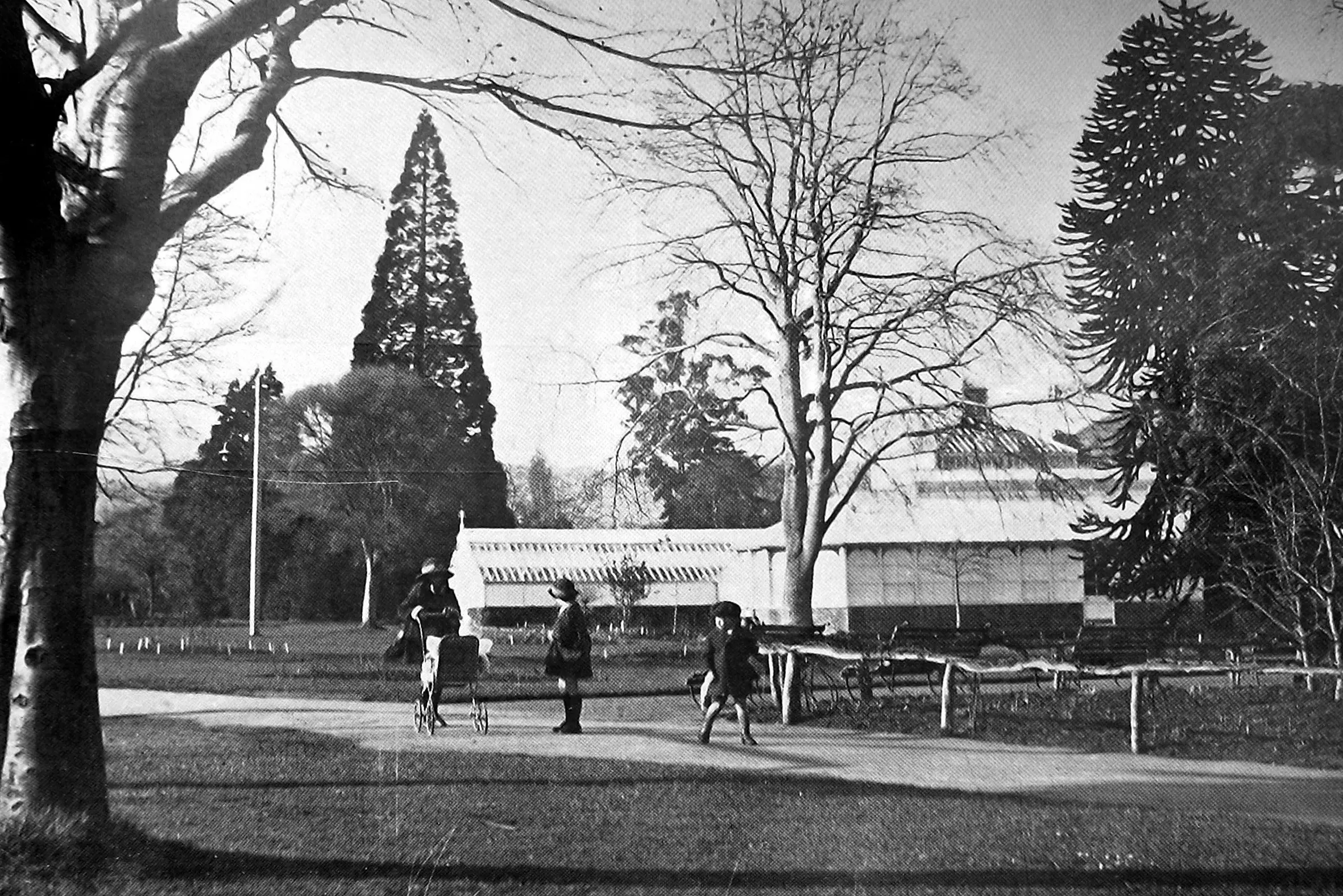 The Botanical Gardens (as Dunedin Botanic Garden was then known), managed by David Tannock. Photo: <i>Otago Witness</i>, issue 3767, May 25, 1926, page 39.