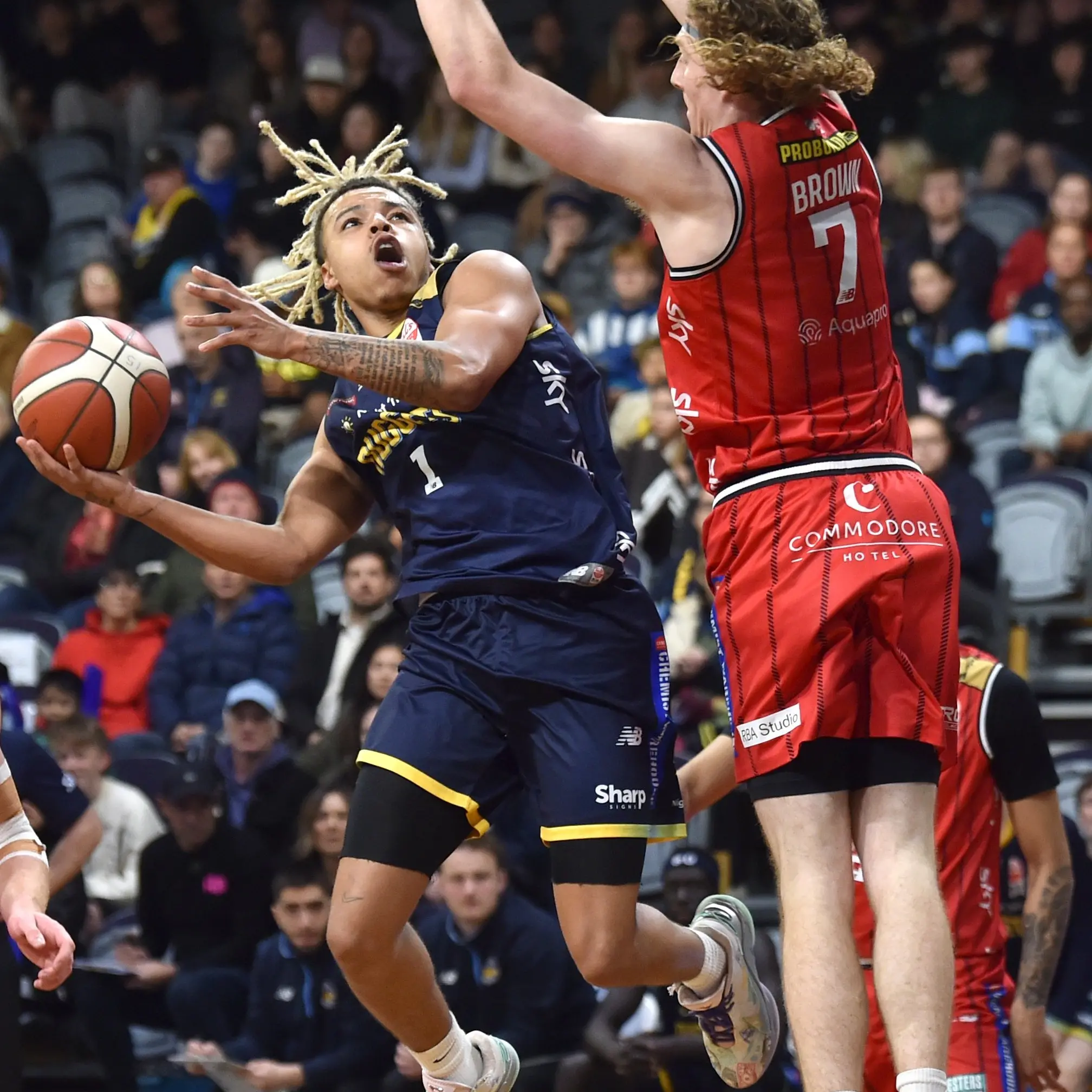 Websters lead Jets to win over Nuggets