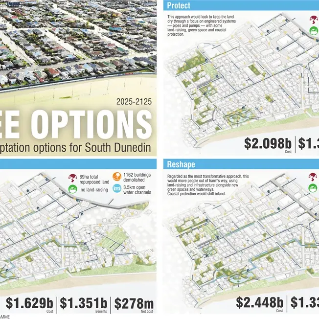 Questions linger over potential plans for South Dunedin