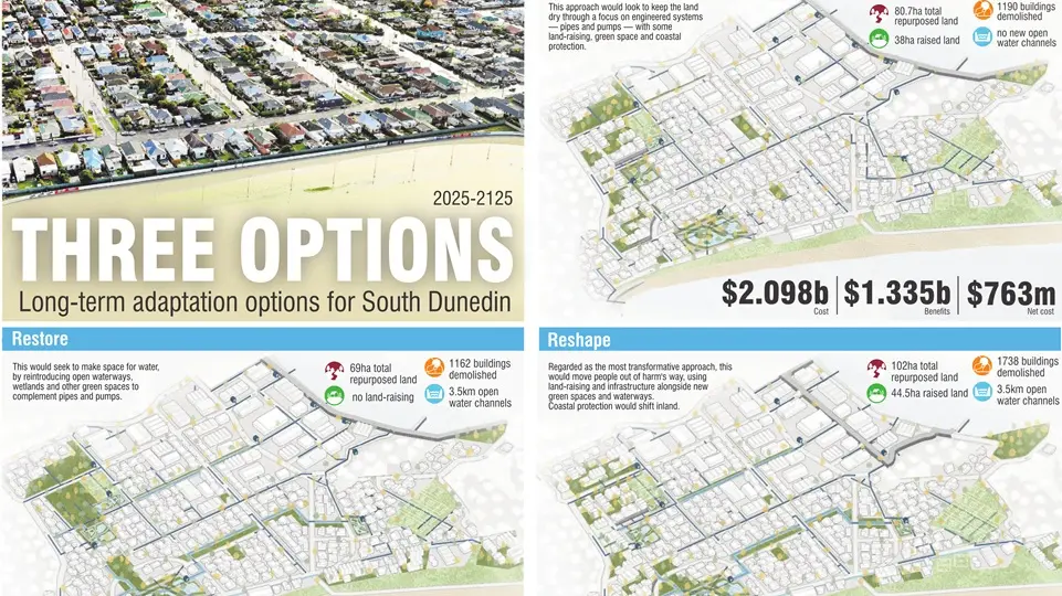 Questions linger over potential plans for South Dunedin