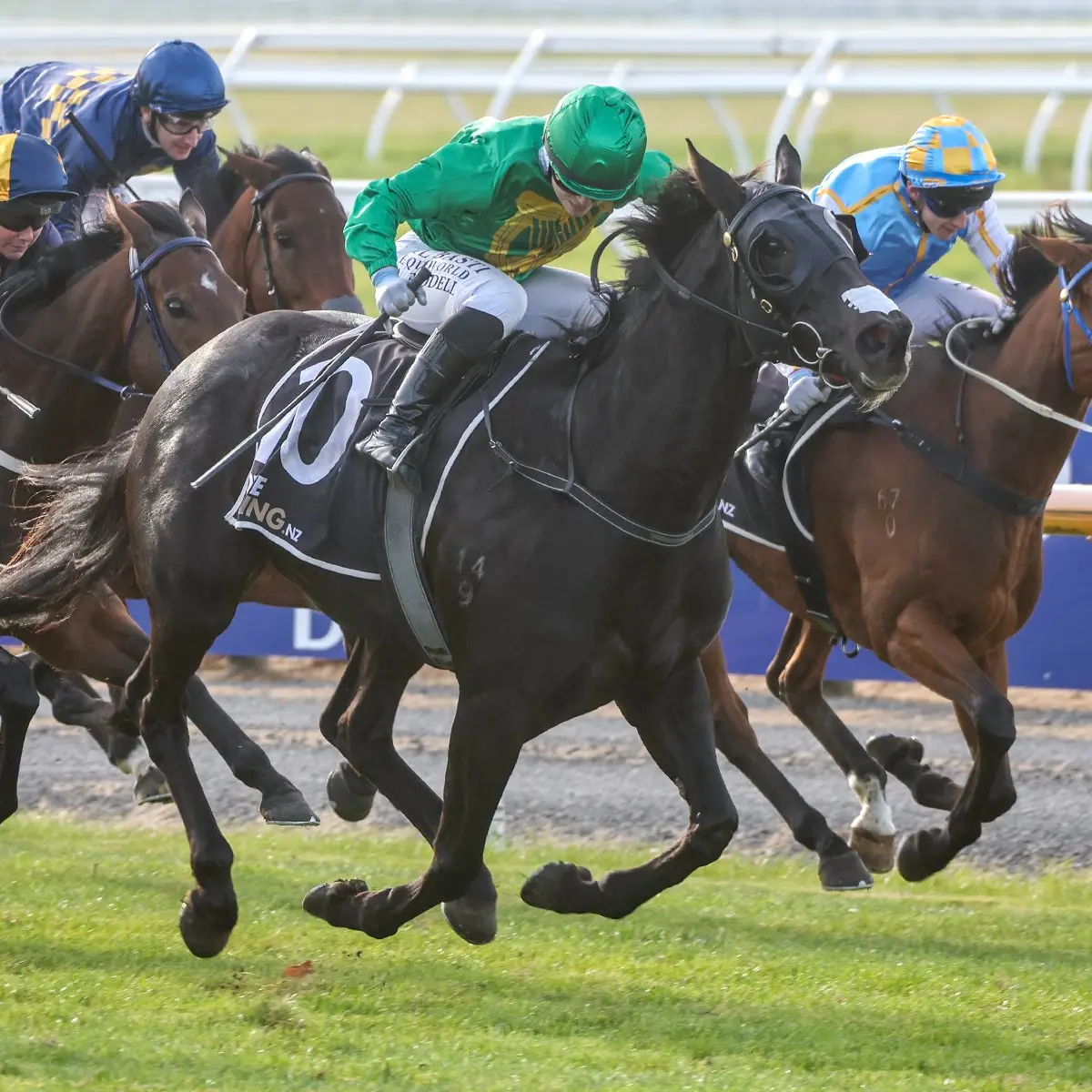 Committee calls for racing bodies to unite ‘at pace’