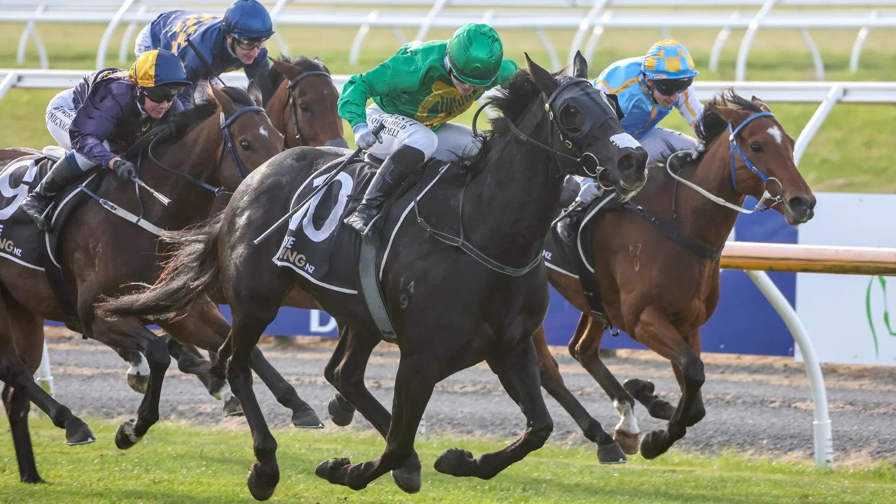 Committee calls for racing bodies to unite ‘at pace’