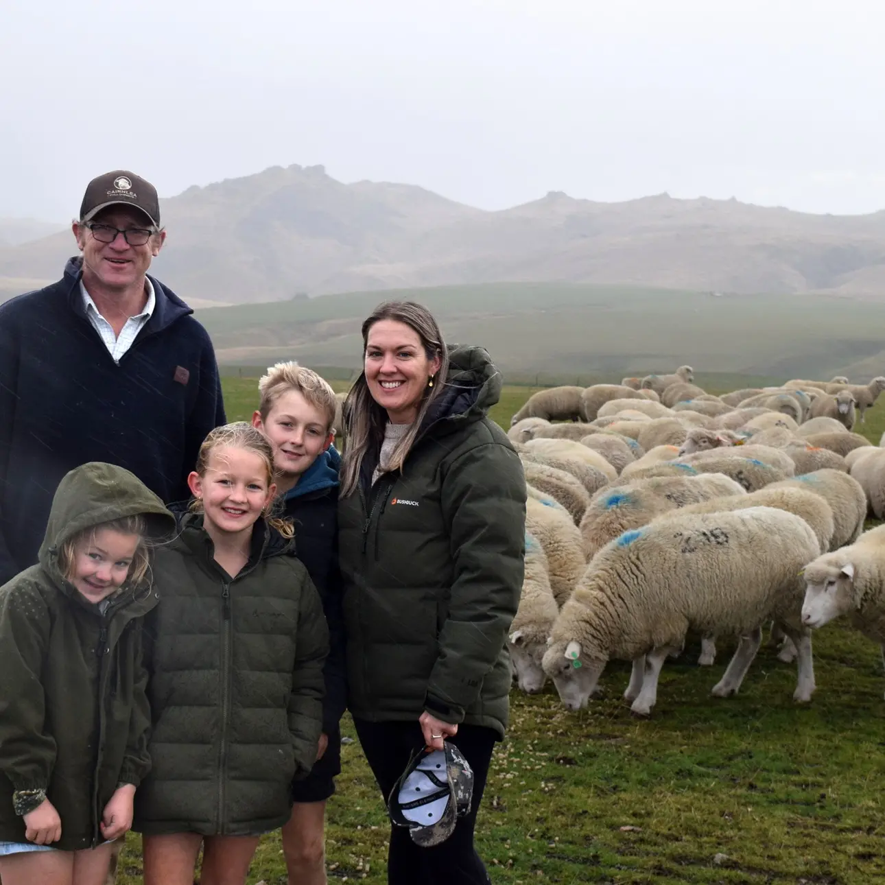 Poll Dorset stud comes full circle