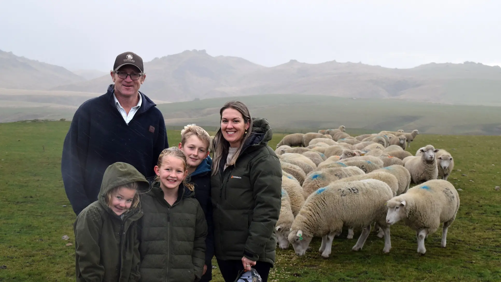 Poll Dorset stud comes full circle