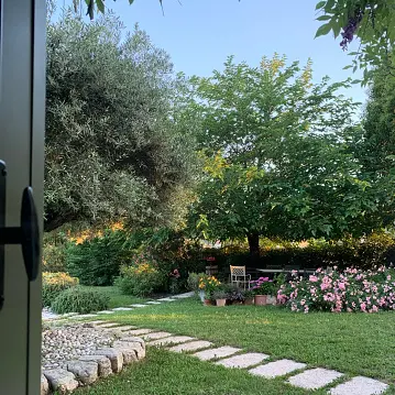 Your garden