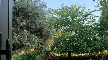 Your garden