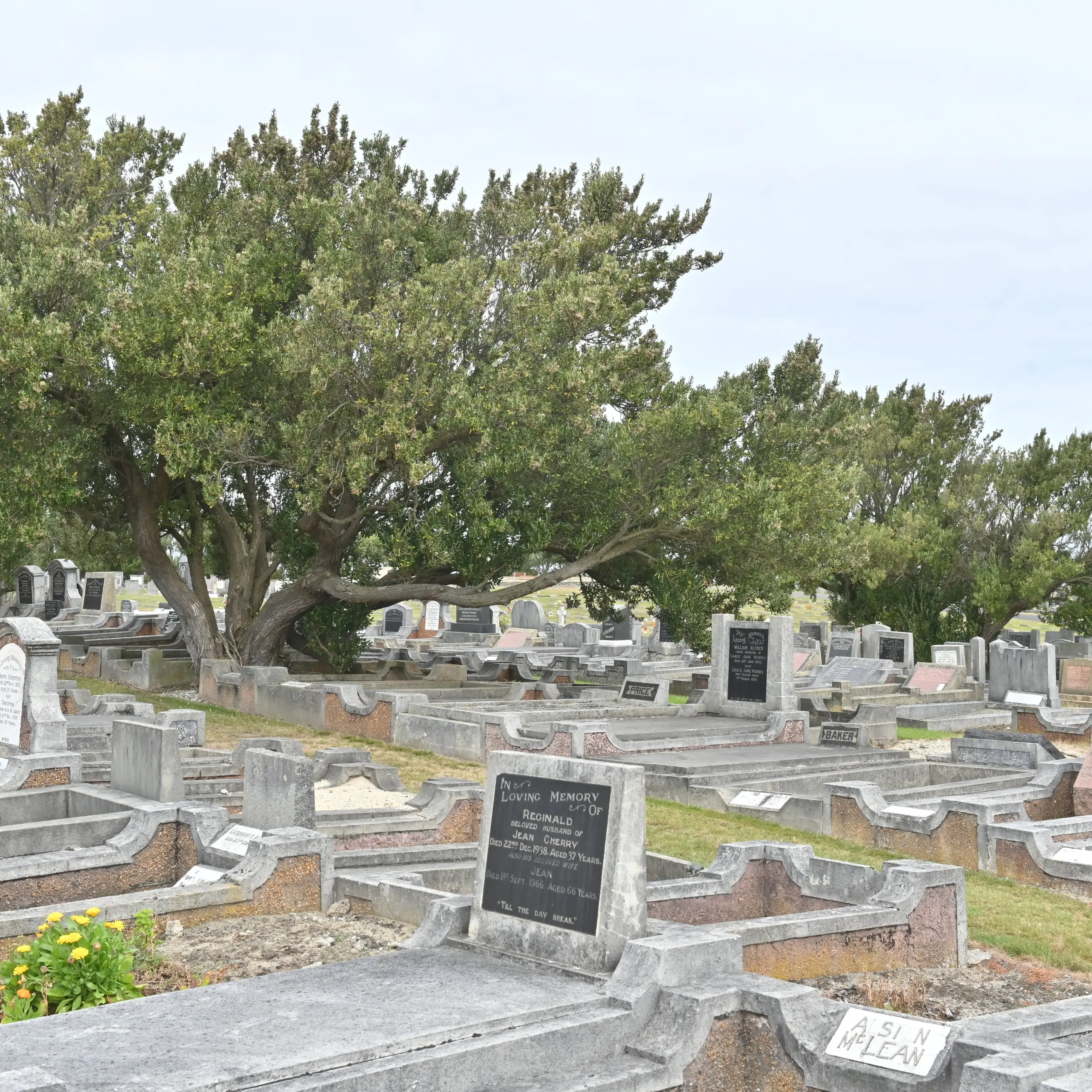 Dunedin gravestone vandalism ‘troubling’