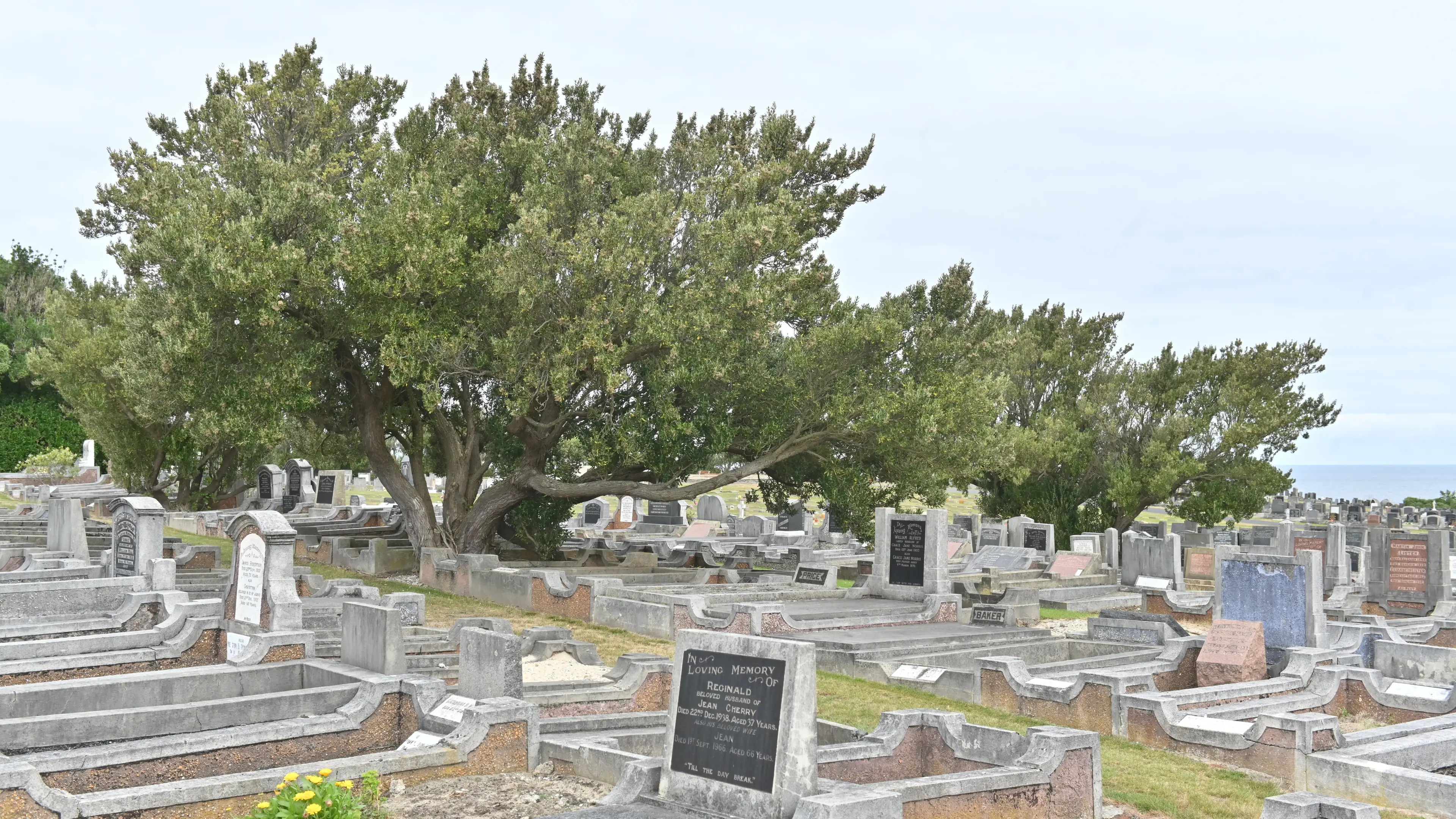 Dunedin gravestone vandalism ‘troubling’