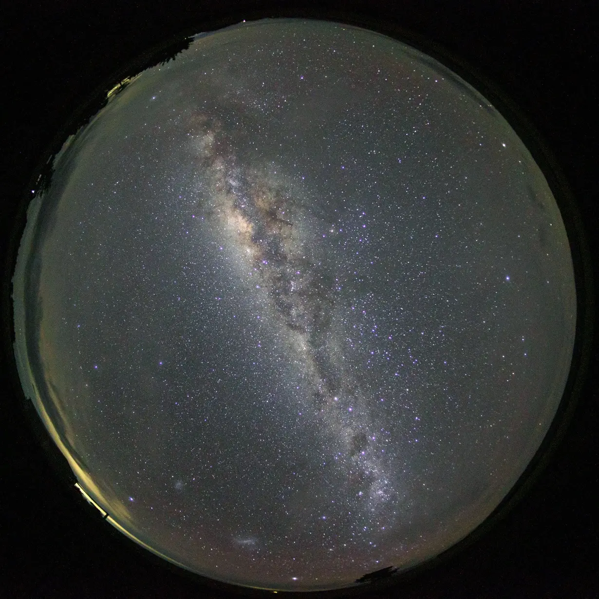 The return on curiosity