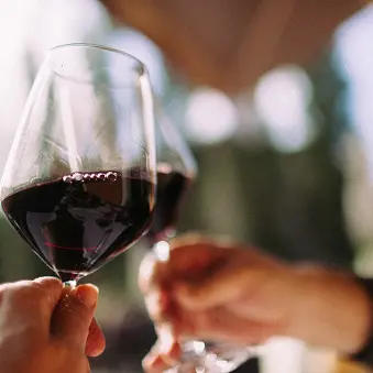 Swoon-worthy pinot noirs not for bargain hunters