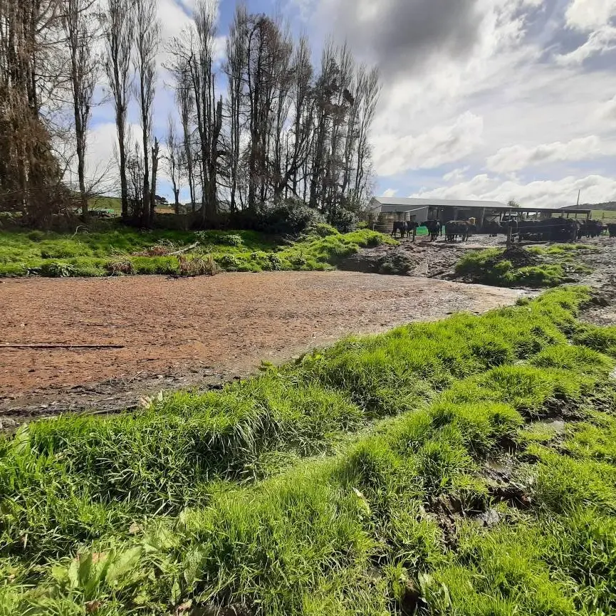 Southland farmer’s offending ‘deliberate’ — judge