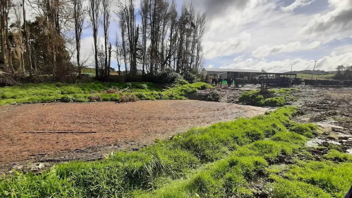 Southland farmer’s offending ‘deliberate’ — judge