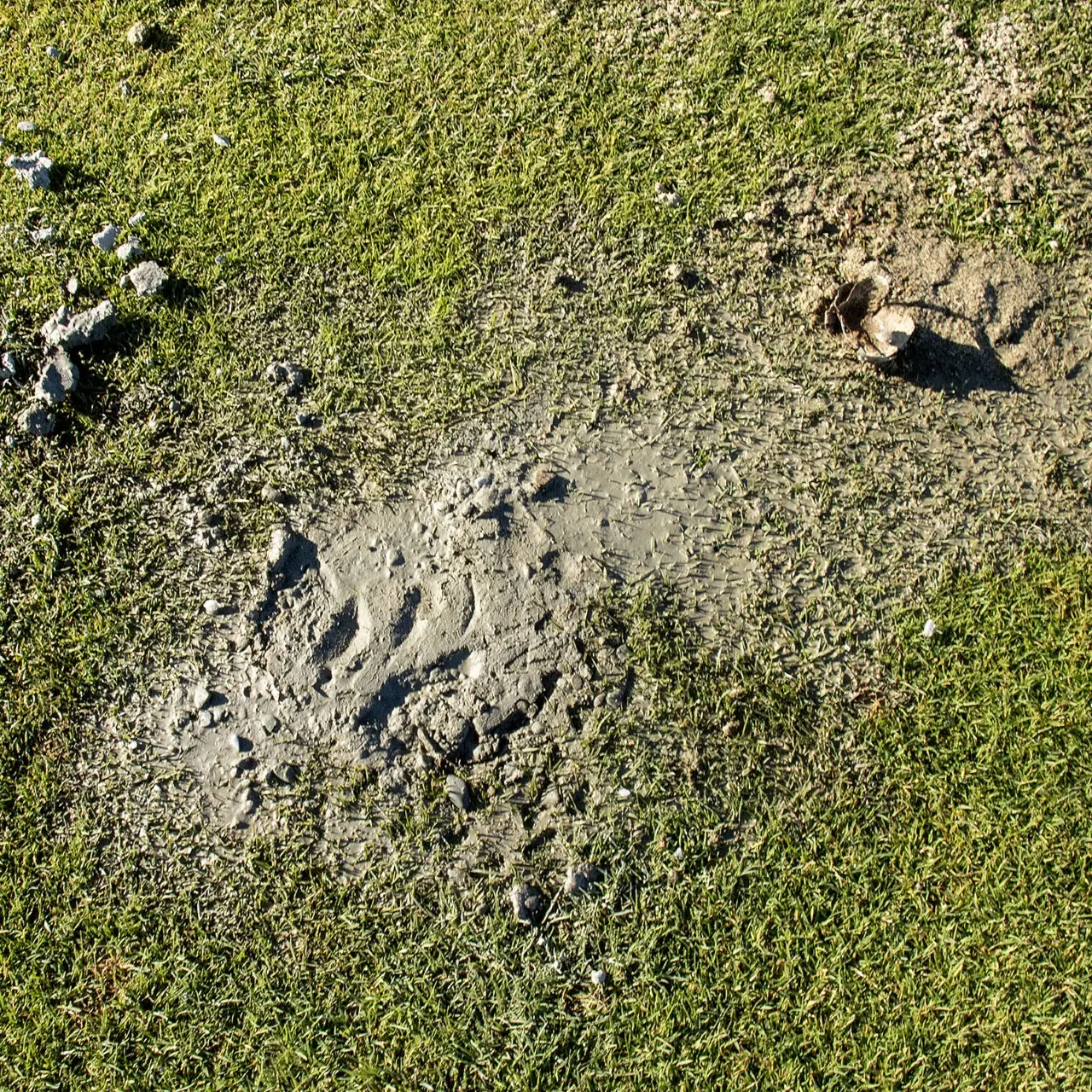 Pegasus golf course holes filled with concrete