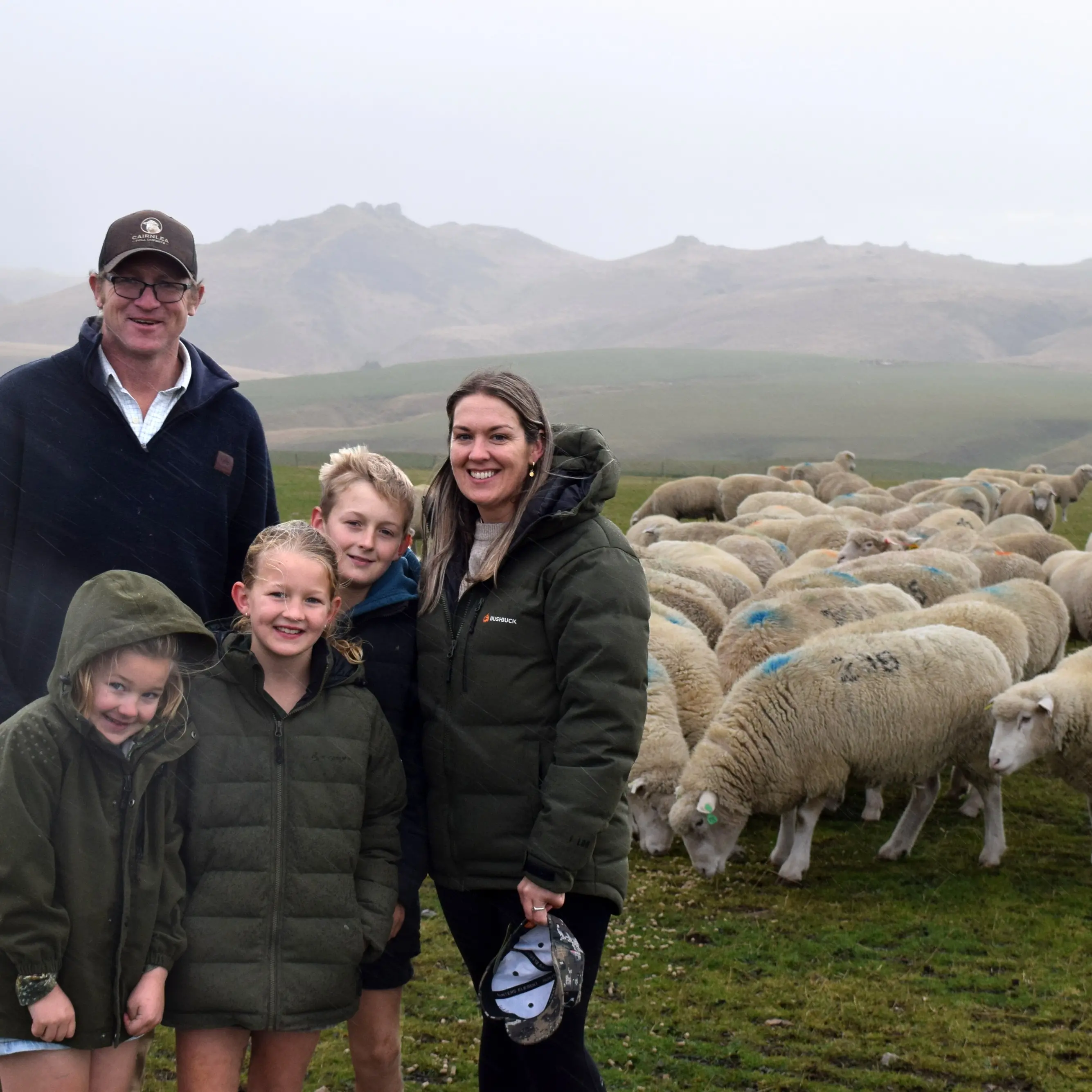 Poll Dorset stud comes full circle
