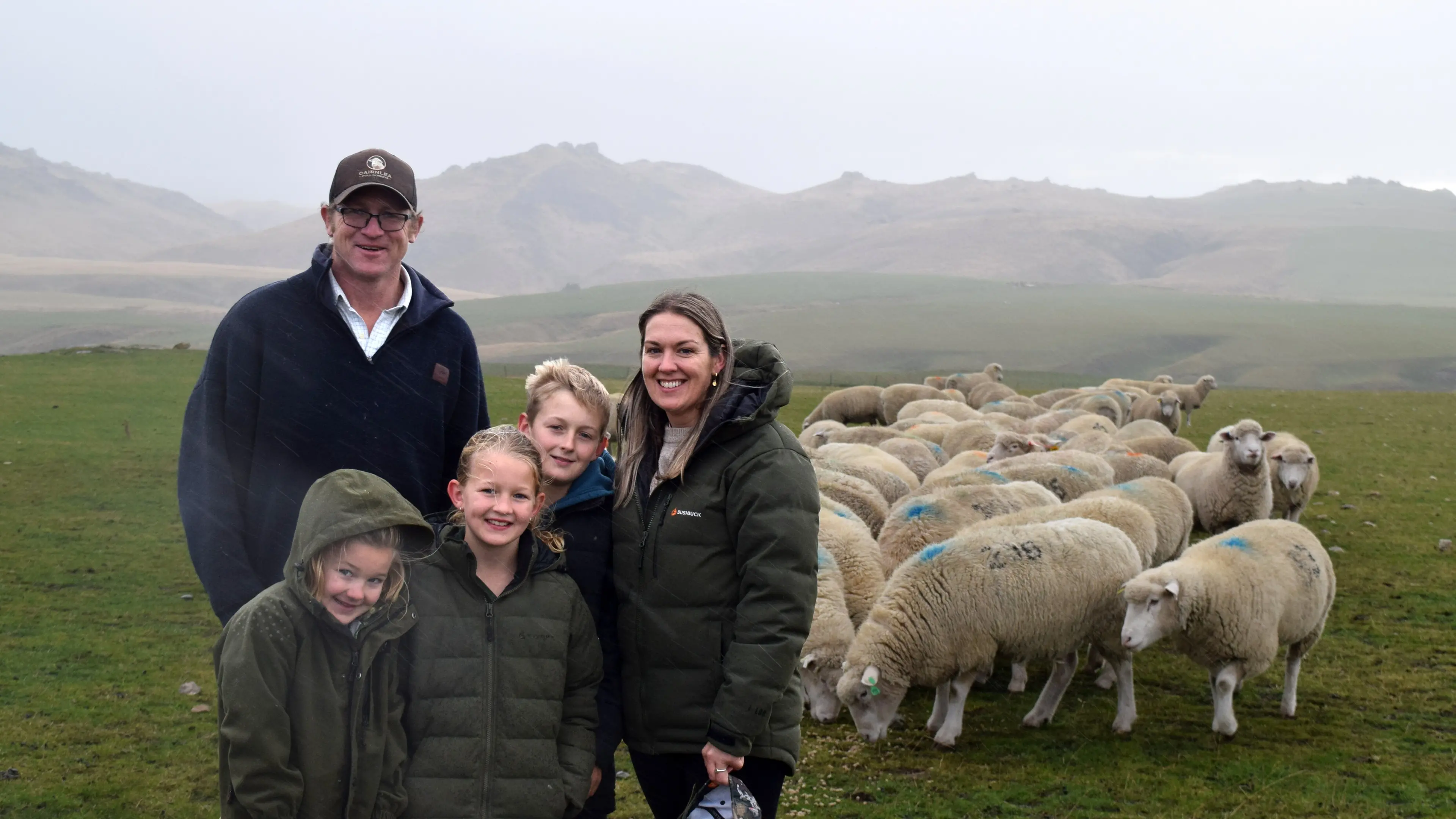 Poll Dorset stud comes full circle