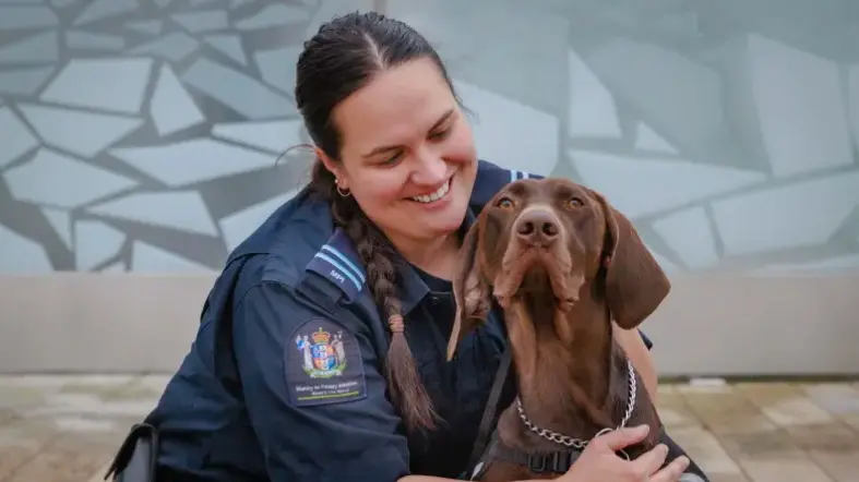 From stray to top dog: Noah thriving at Christchurch Airport