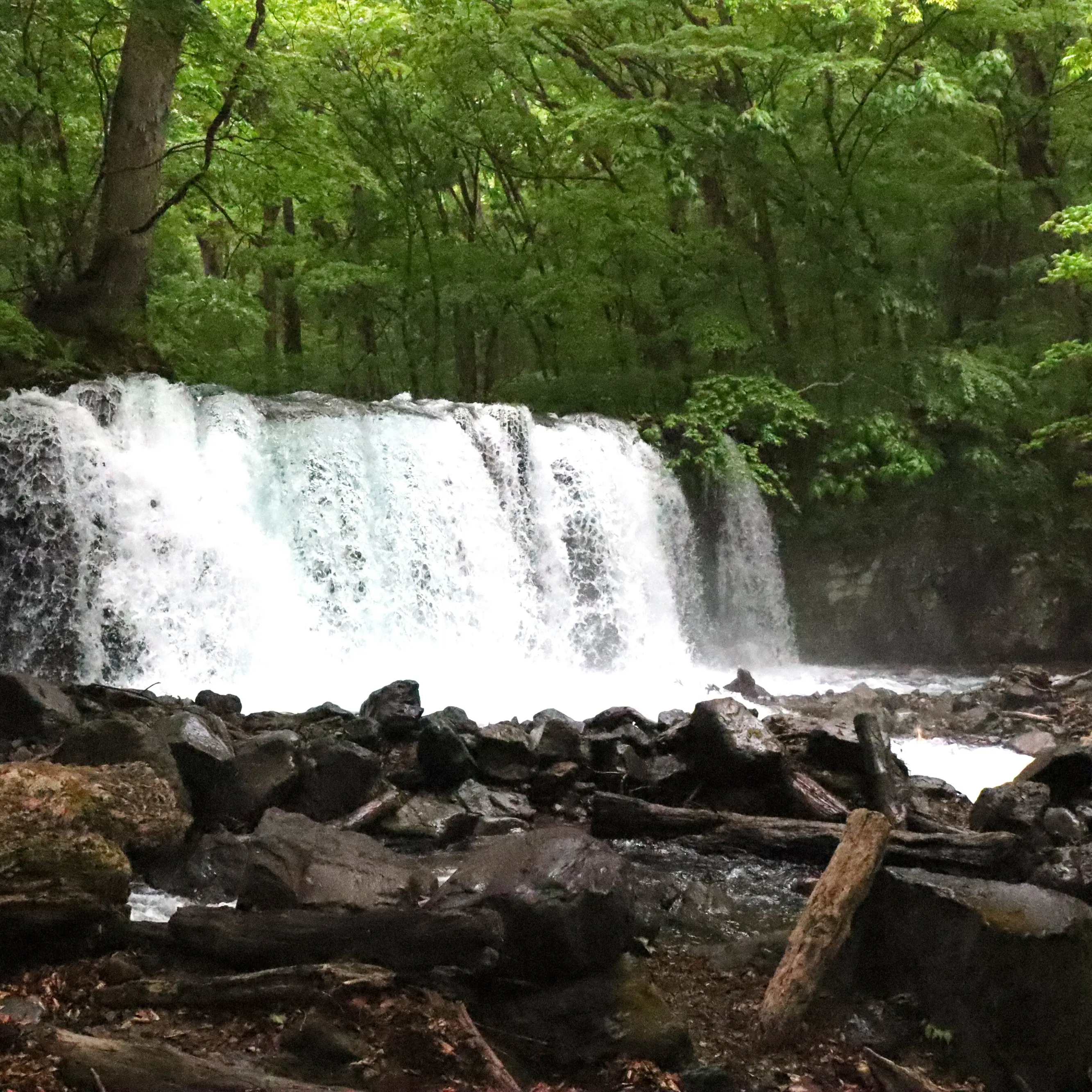 Visiting ‘Japan’s Niagara’