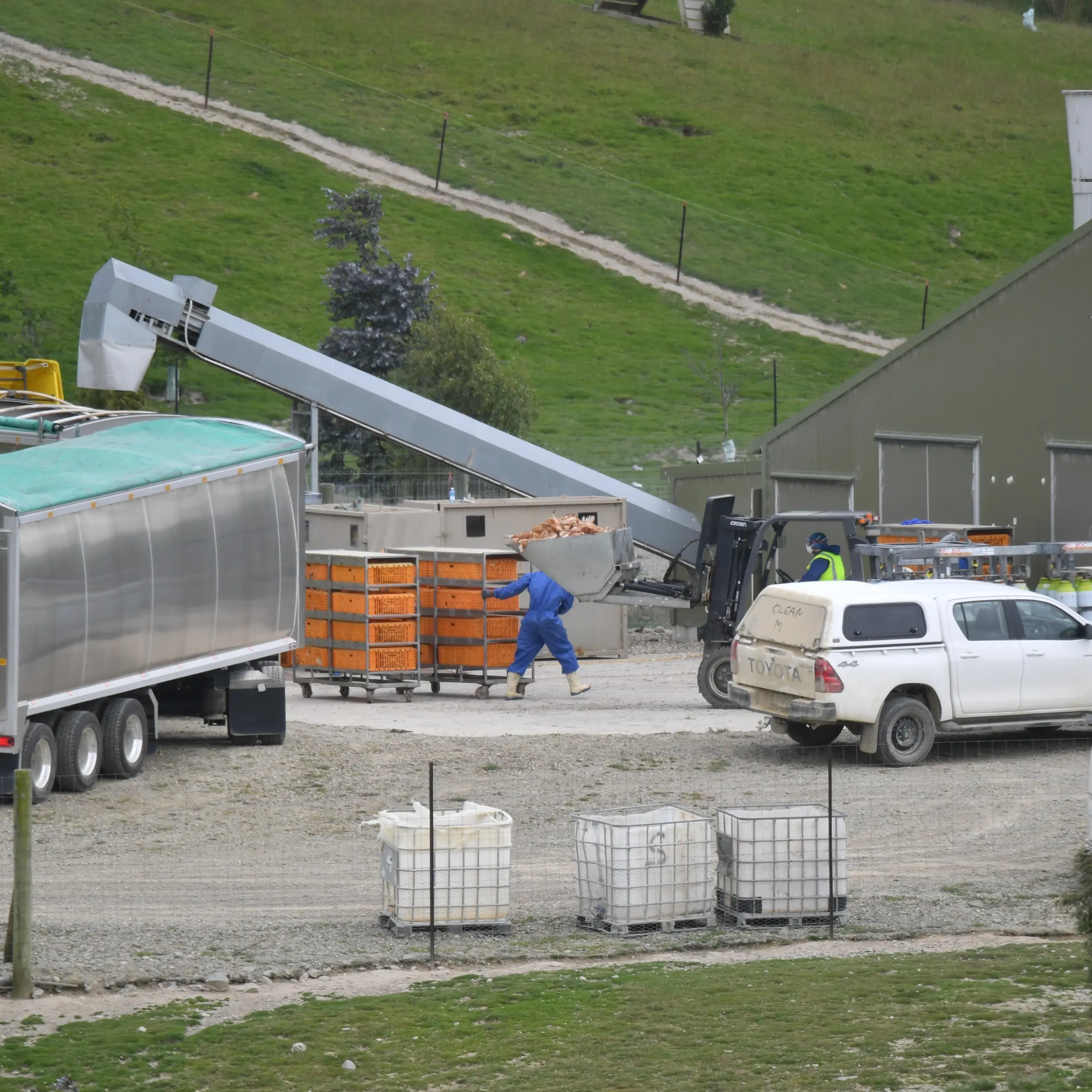 ‘As prepared as we can be’ for bird flu