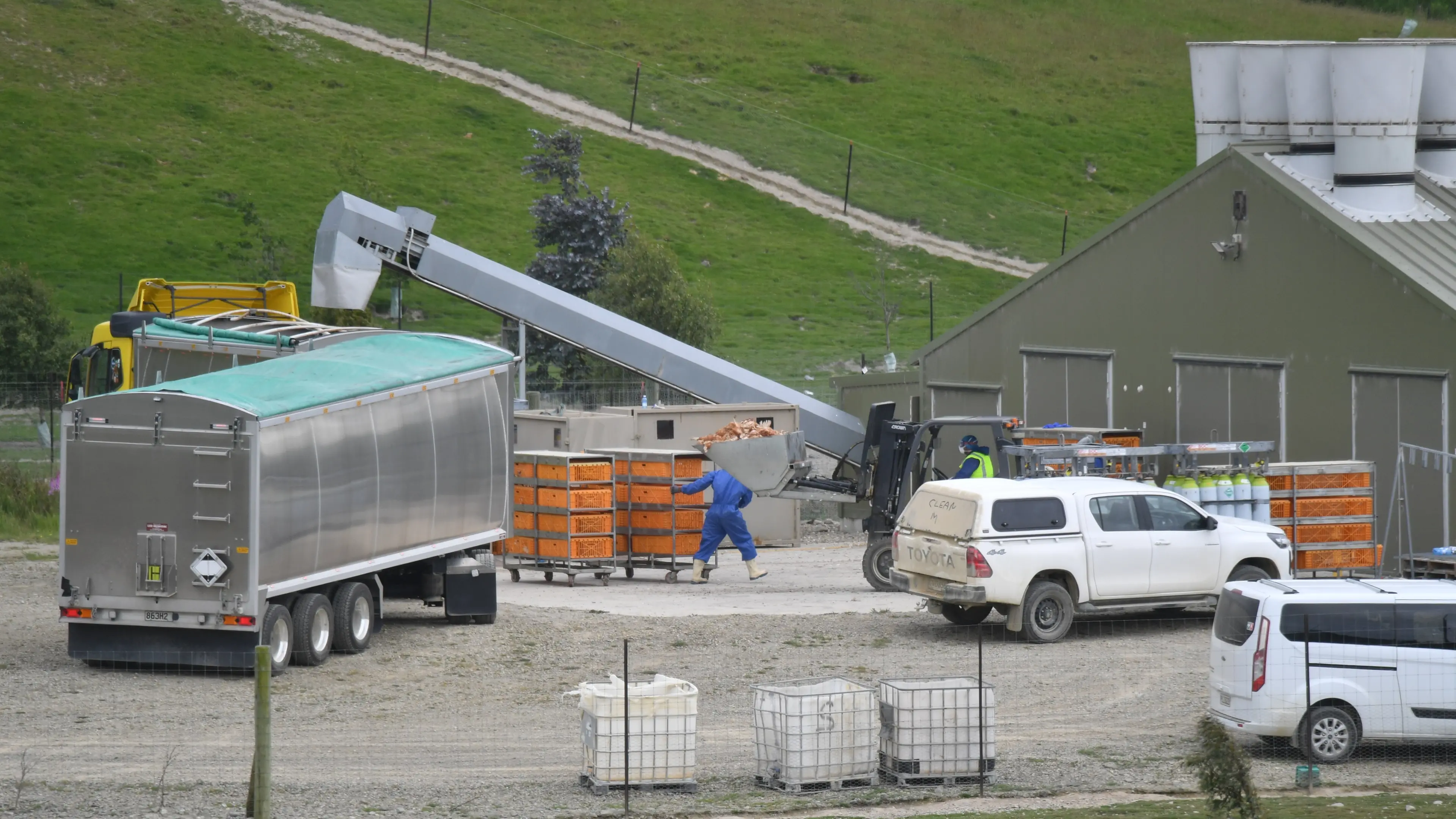 ‘As prepared as we can be’ for bird flu