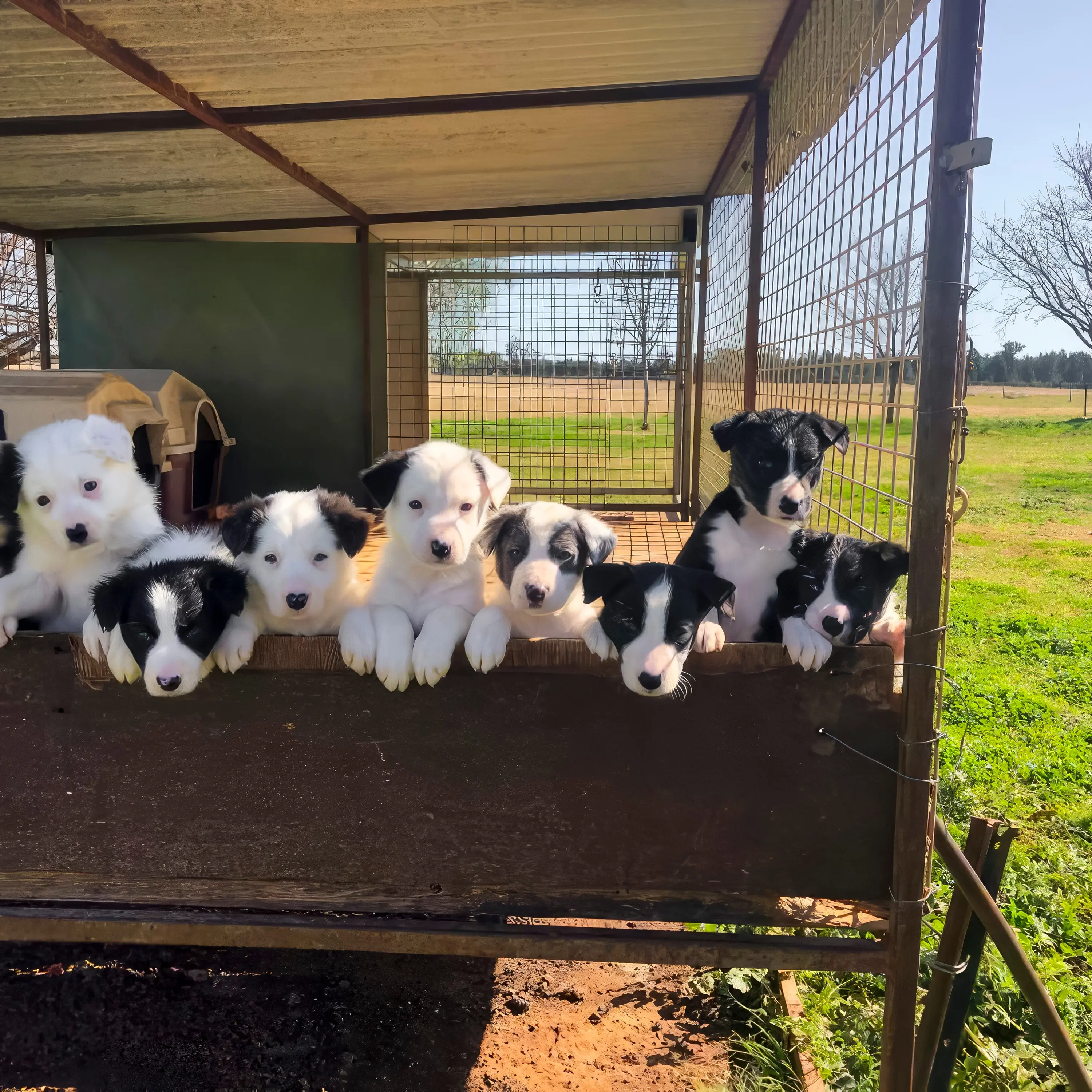 Casting call for mustering