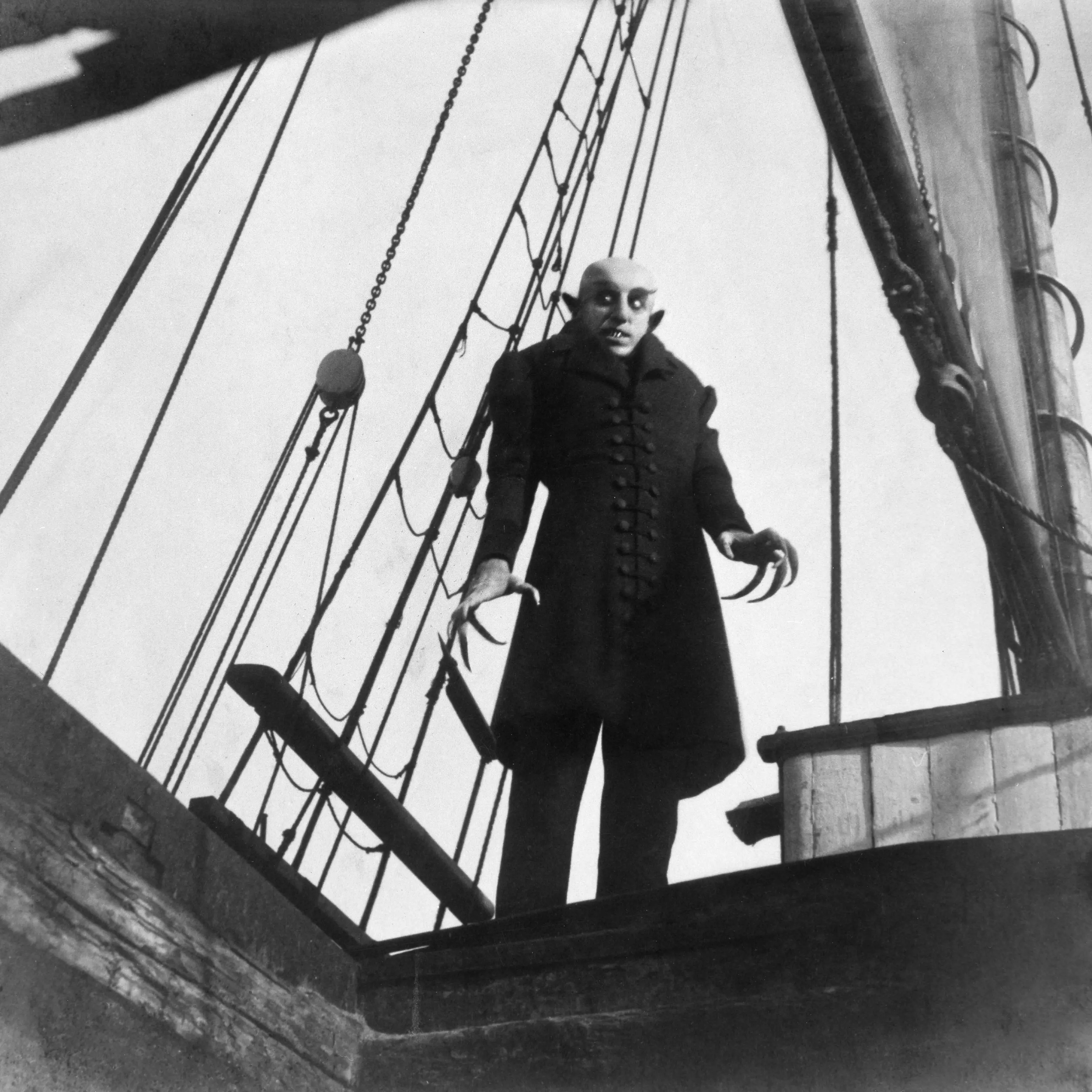 Screenings to launch 80th anniversary year