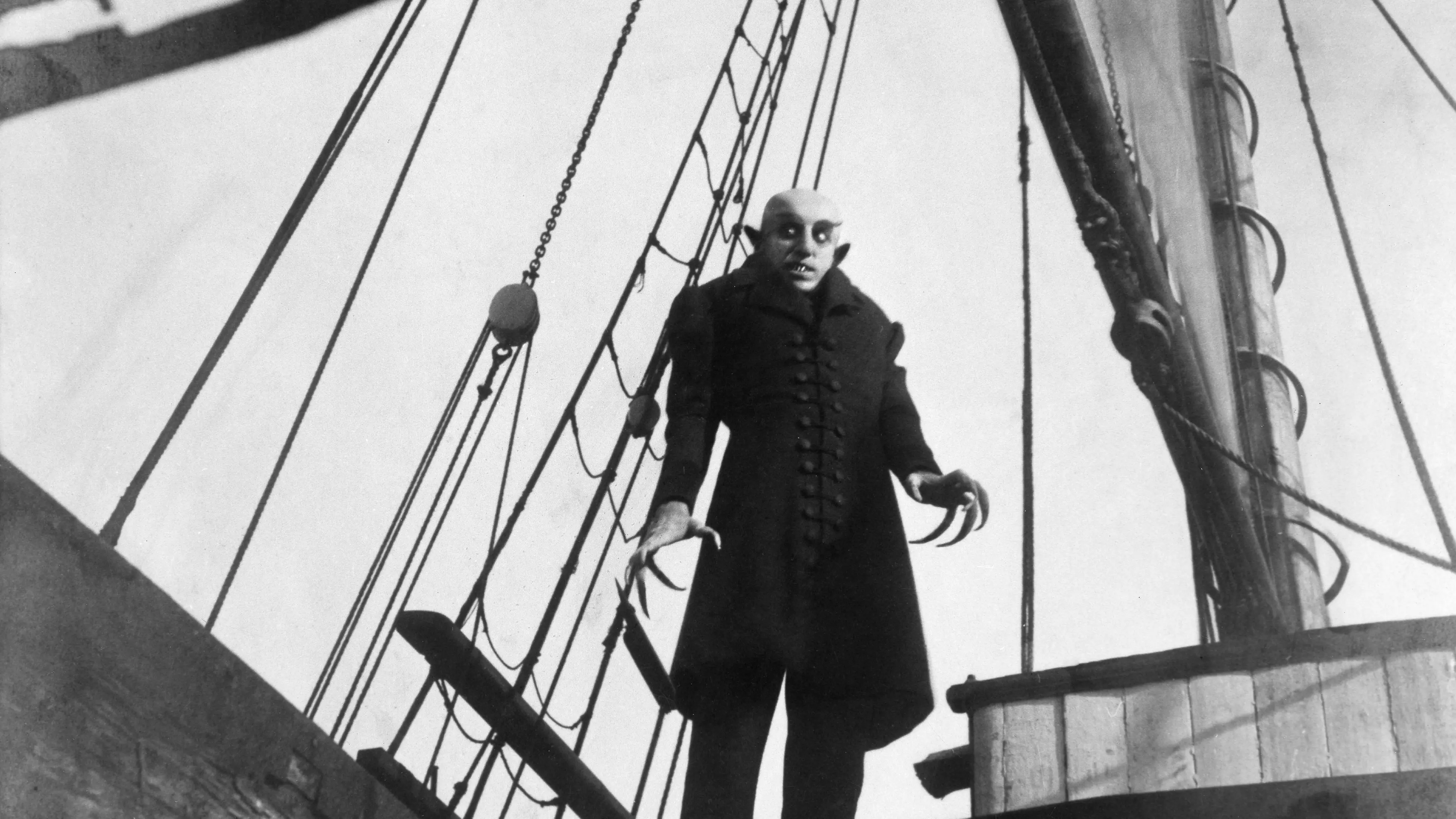 Screenings to launch 80th anniversary year