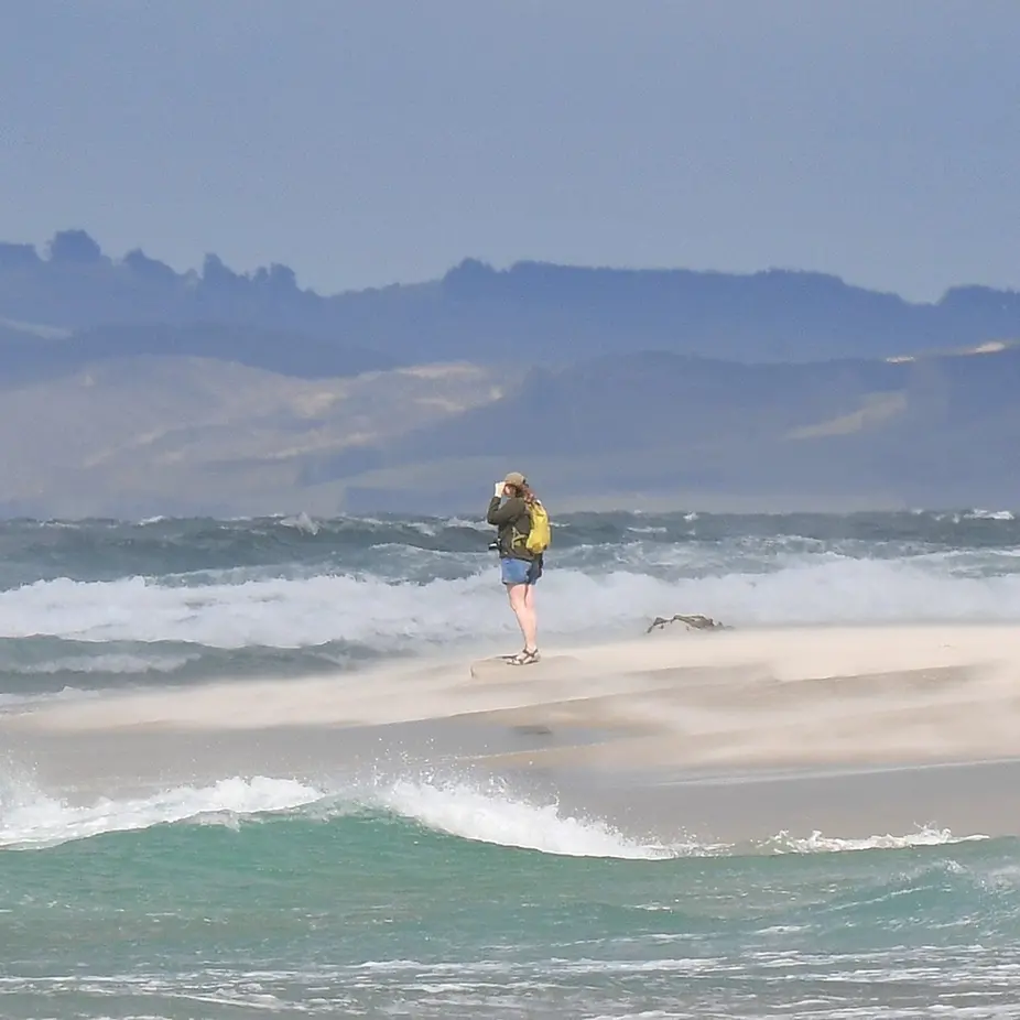 Boost for coastline research