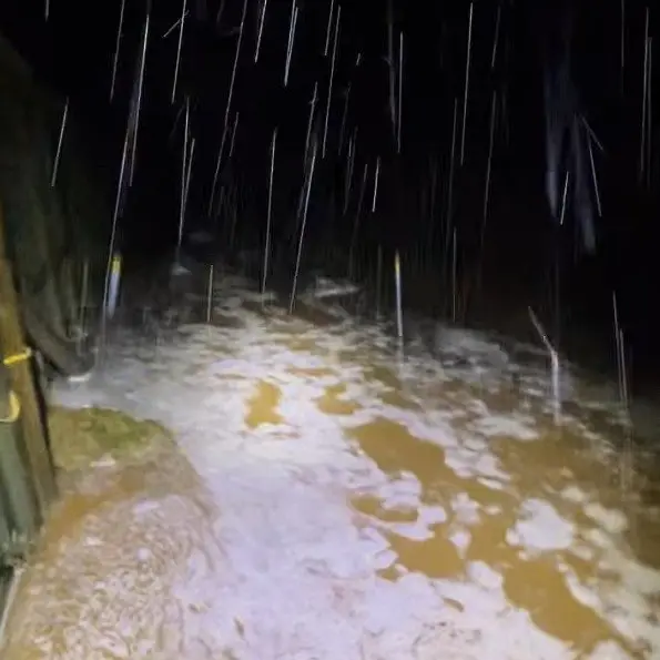 Flooding damages Orokonui Ecosanctuary